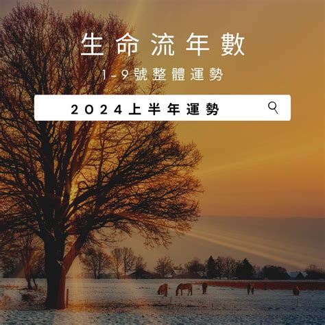 生命流年|2024運勢如何？計算我的生命流年數，了解如何規劃。